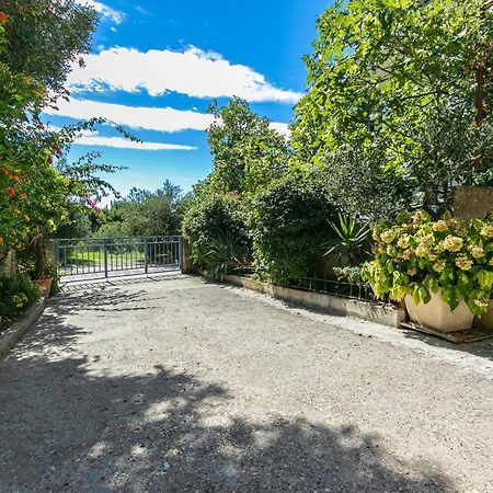 Apartments With A Parking Space Gradac, Makarska - 14708 Exterior foto