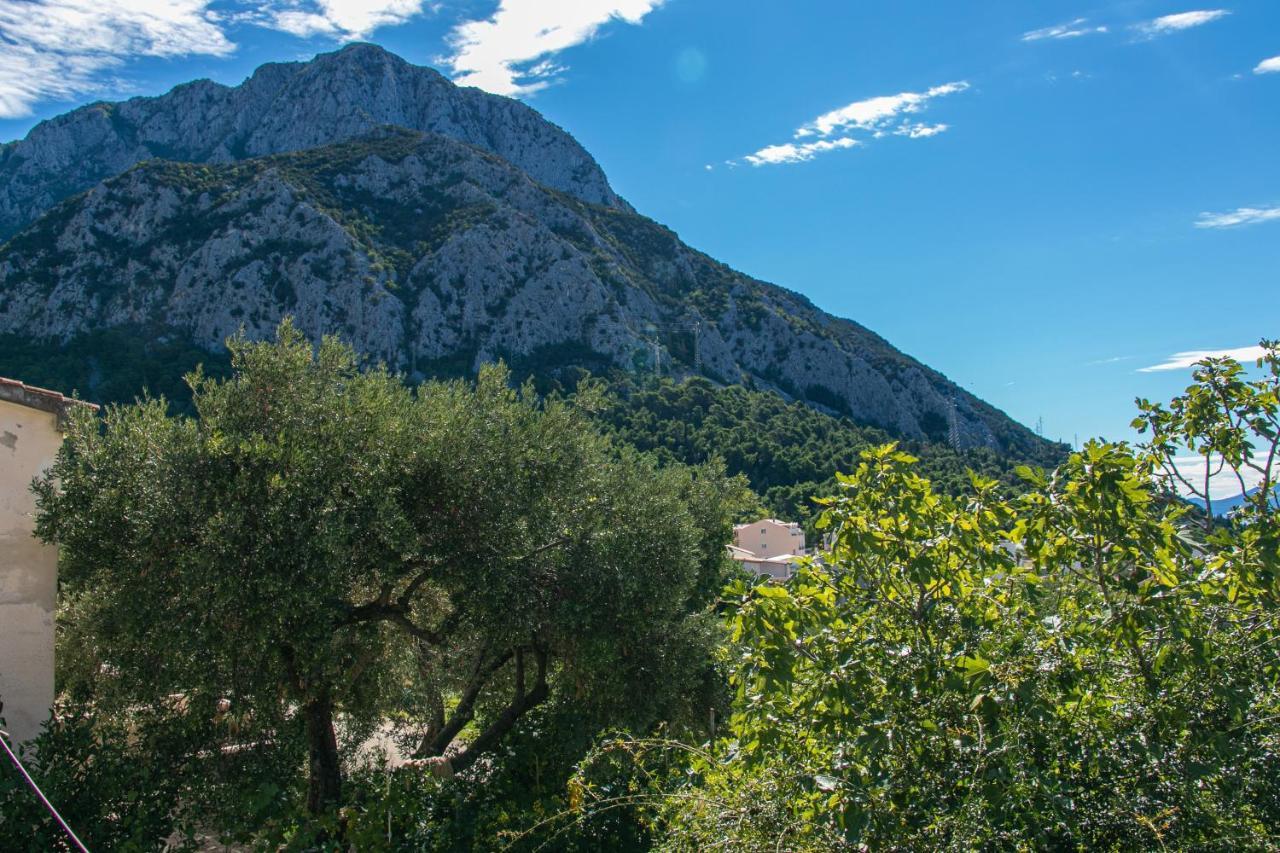 Apartments With A Parking Space Gradac, Makarska - 14708 Exterior foto